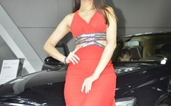 新西游记全集动画片